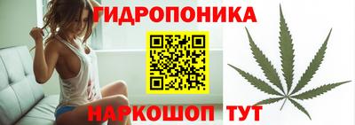 ПСИЛОЦИБИНОВЫЕ ГРИБЫ Новодвинск