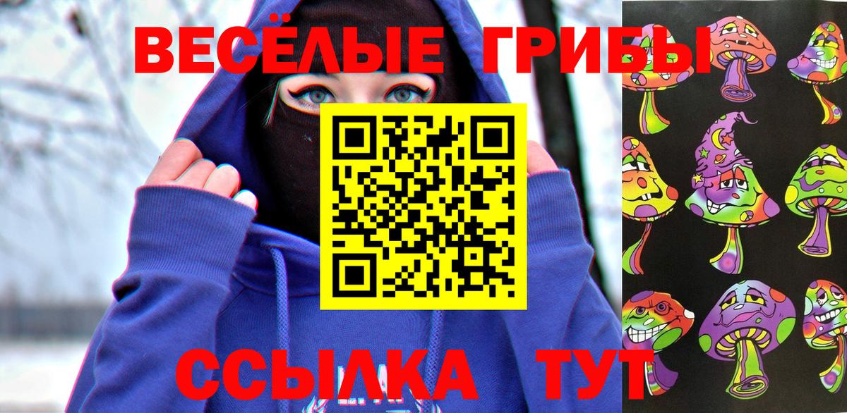 Усть-Джегута  Галлюциногенные грибы Psilocybe  Вход с VPN 